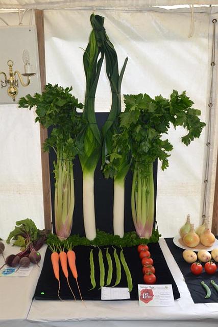 10. Winning vegetable collection.jpg